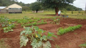 kasempa trimester update 8a